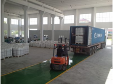 縣人大常委領(lǐng)導(dǎo)蒞臨公司調(diào)研